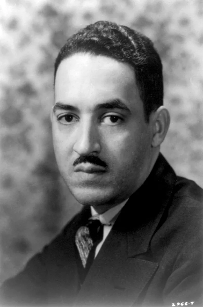Photograph of Thurgood Marshall