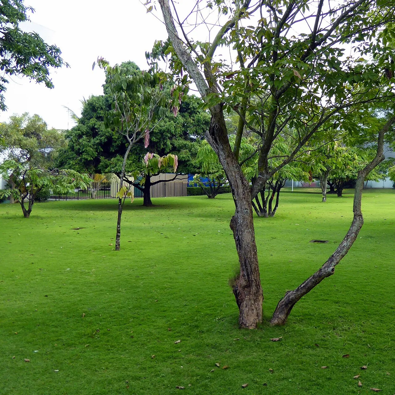 Bandaranayaka, Colombo International Airport, Depature Terminal