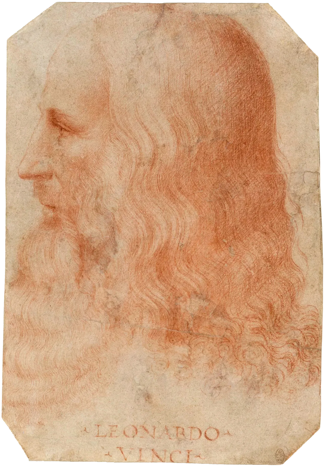 Francesco Melzi   Portrait of Leonardo